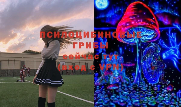амф Абдулино