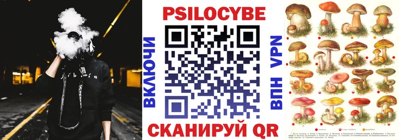 OMG вход  Томилино  Галлюциногенные грибы Psilocybine cubensis  где найти наркотики 